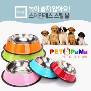 [아솔플러스]컬러 스테인레스 애견식기 애완용품 개밥그릇/사이즈- S(색상 랜덤)